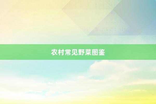 农村常见野菜图鉴