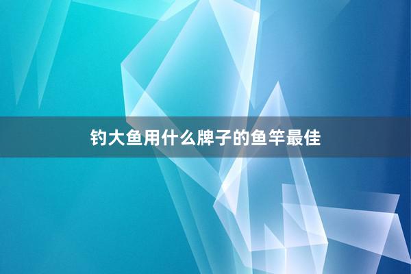 钓大鱼用什么牌子的鱼竿最佳